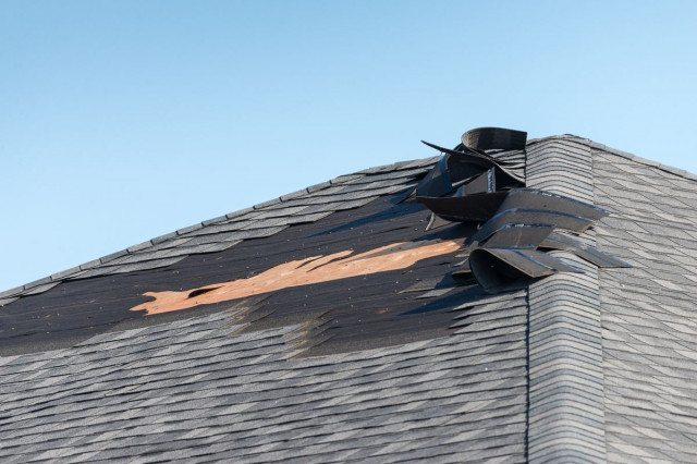 roof damaged - shingle repair