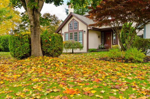 leaf covered lawn with brown house