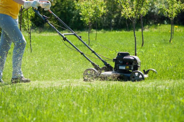 individual mowing grass
