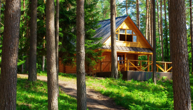cabin in woods