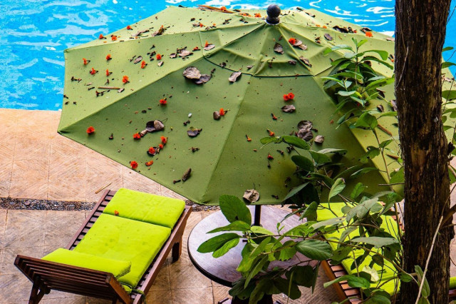 green patio umbrella