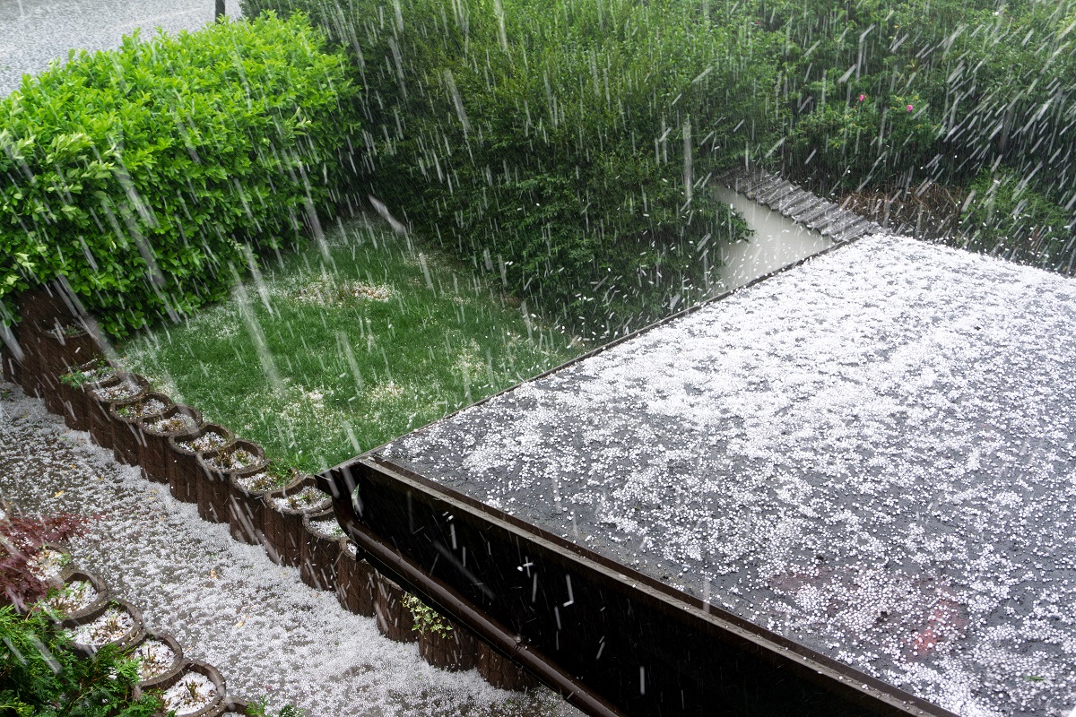 hail on roof and grass
