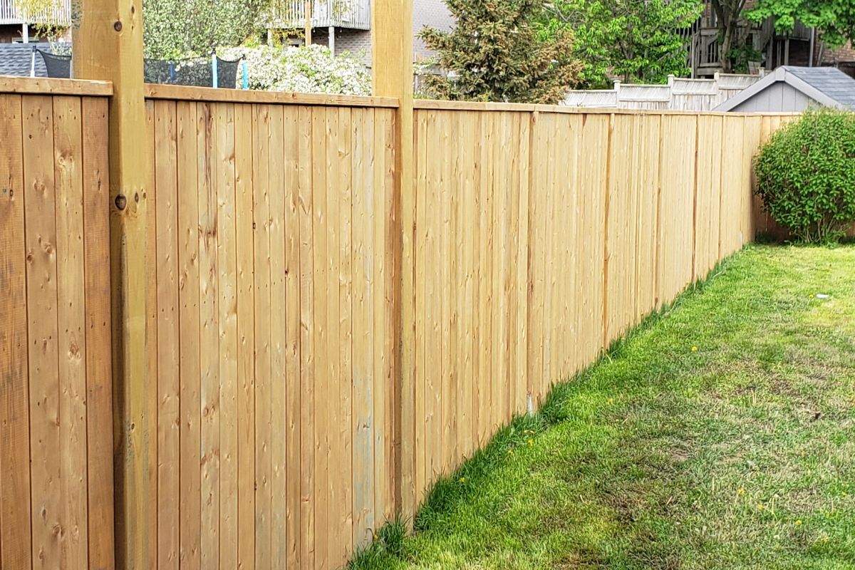 a wooden backyard fence that was just installed